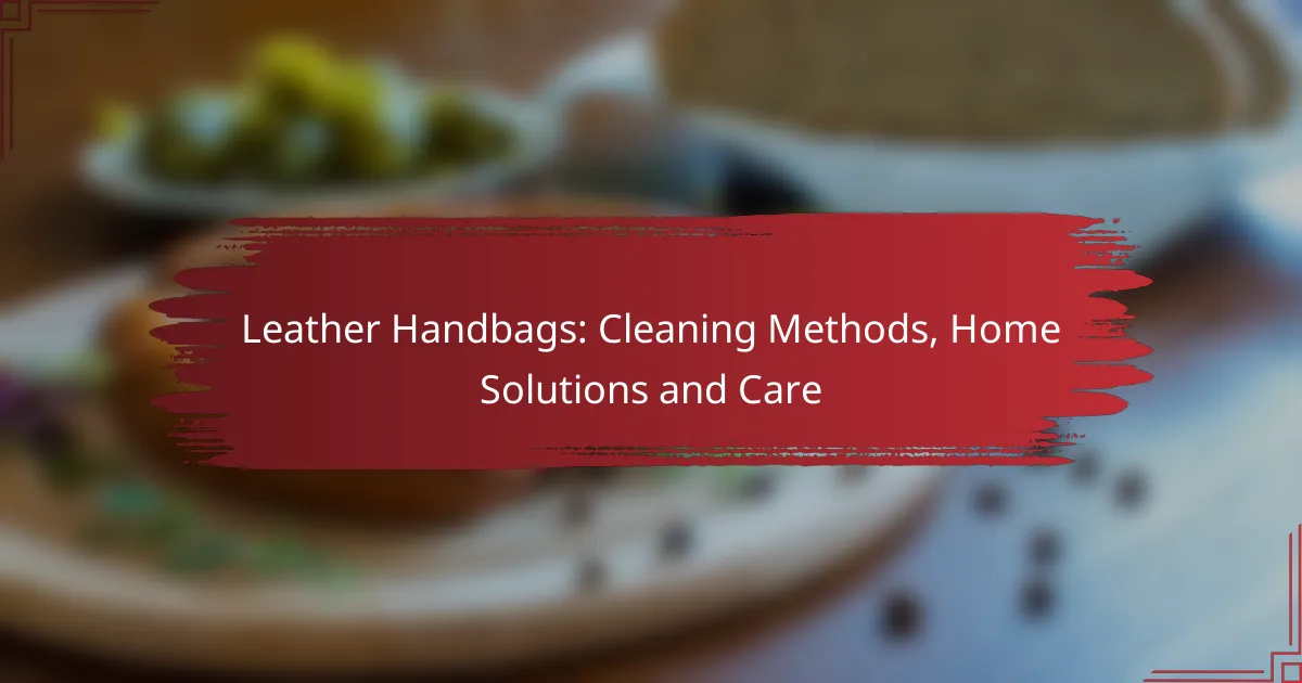 Leather Handbags: Cleaning Methods, Home Solutions and Care