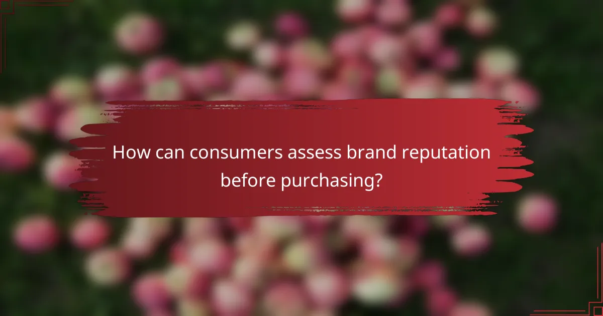 How can consumers assess brand reputation before purchasing?