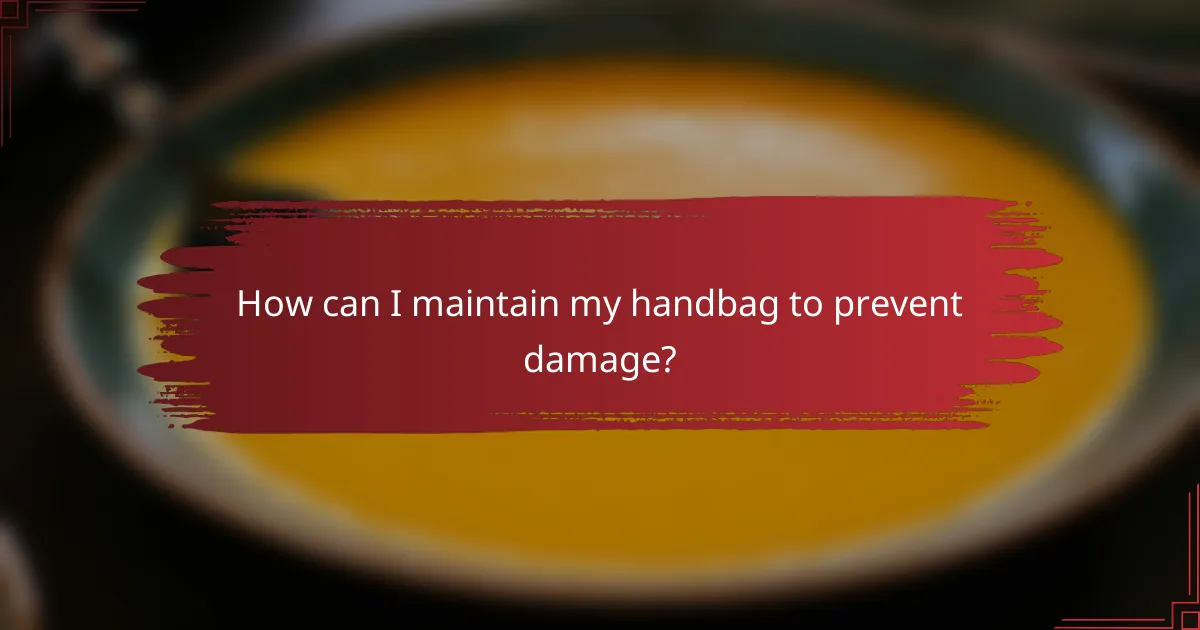 How can I maintain my handbag to prevent damage?