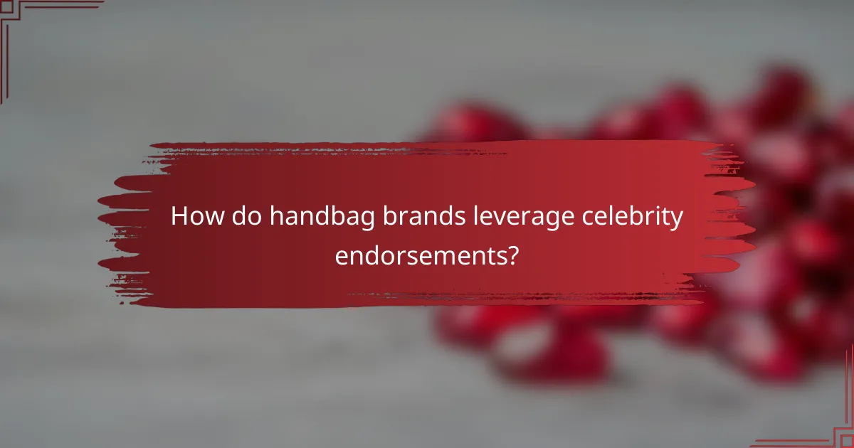 How do handbag brands leverage celebrity endorsements?