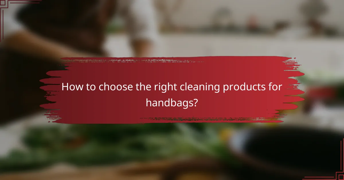 How to choose the right cleaning products for handbags?