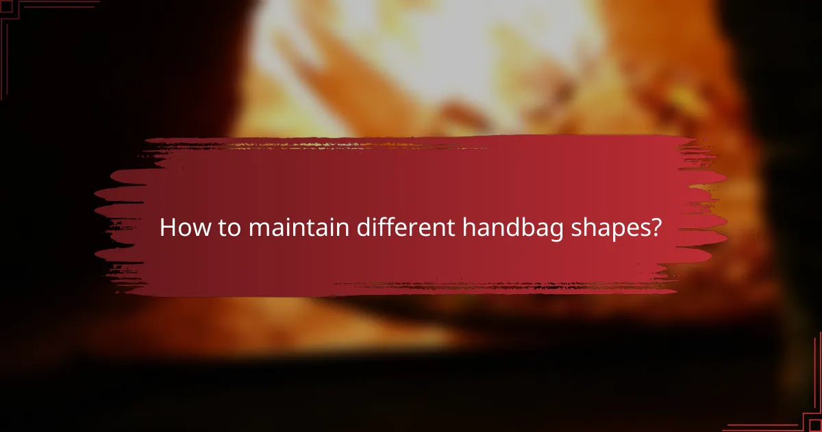 How to maintain different handbag shapes?
