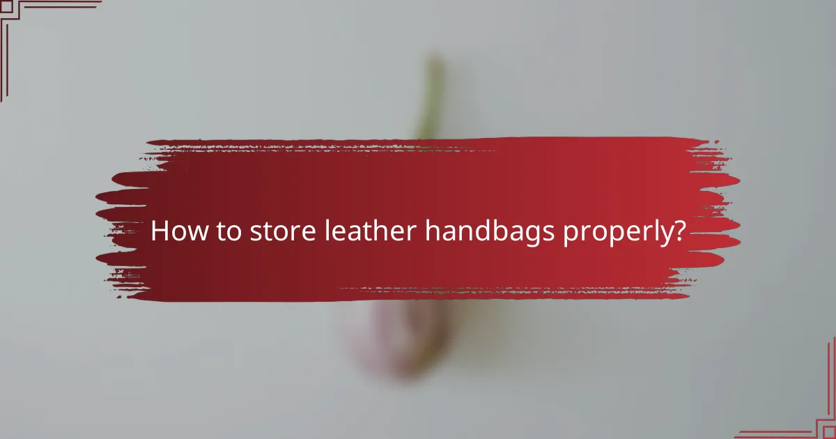 How to store leather handbags properly?