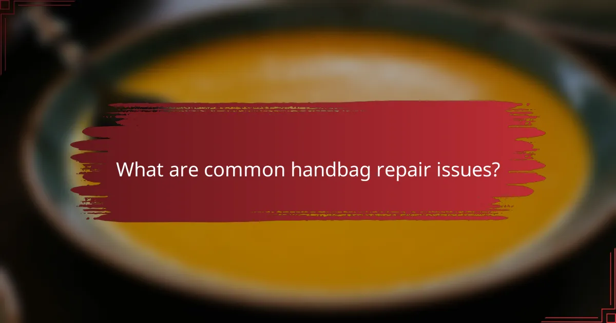 What are common handbag repair issues?