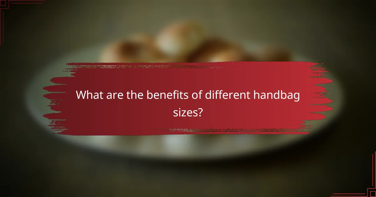 What are the benefits of different handbag sizes?