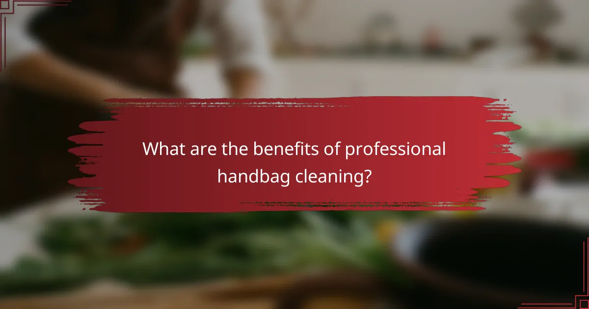 What are the benefits of professional handbag cleaning?