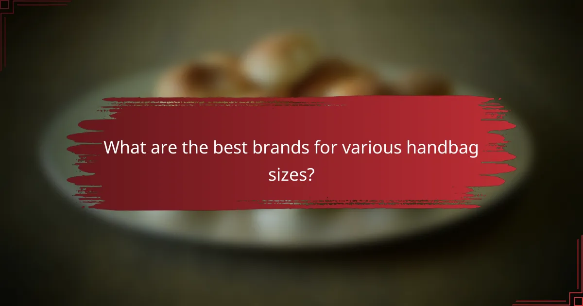 What are the best brands for various handbag sizes?