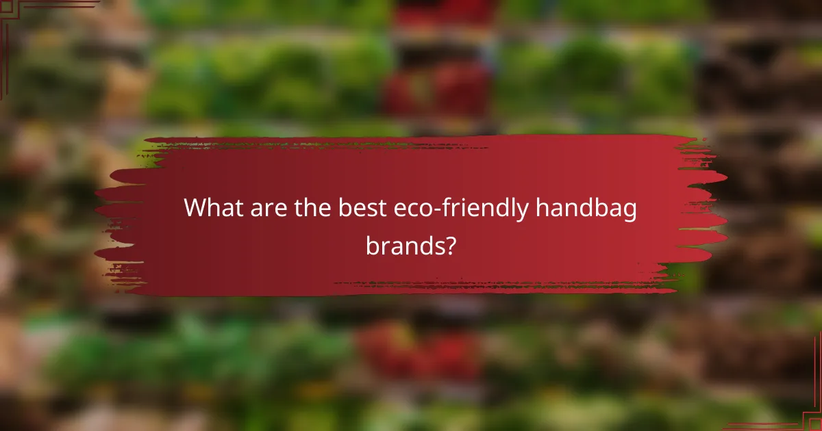 What are the best eco-friendly handbag brands?