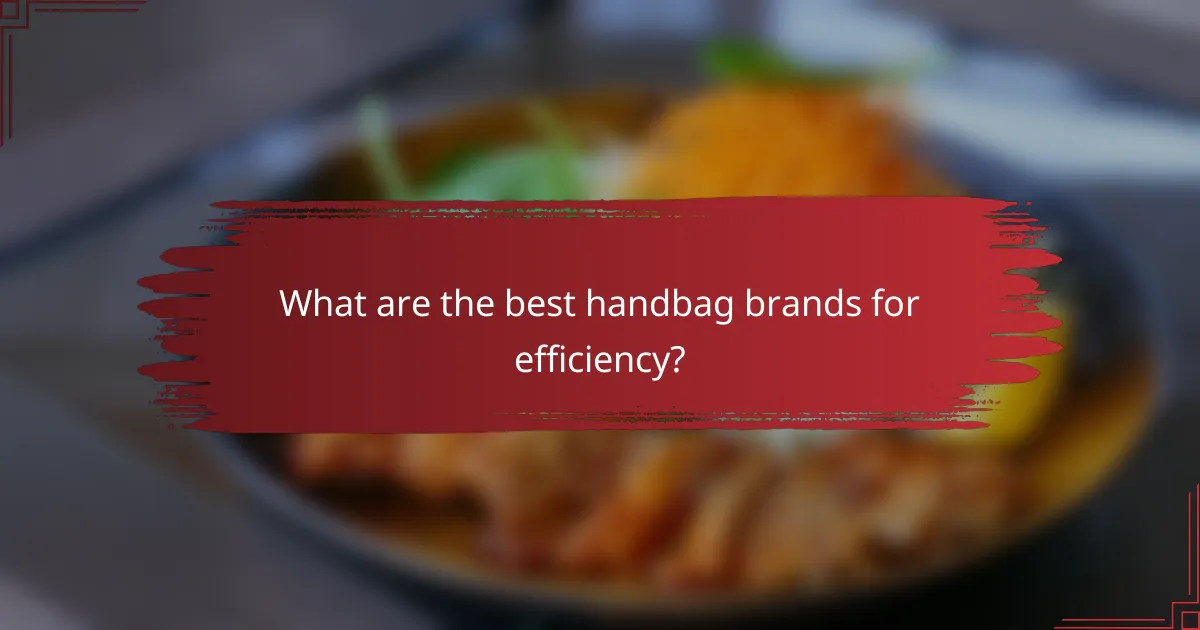 What are the best handbag brands for efficiency?