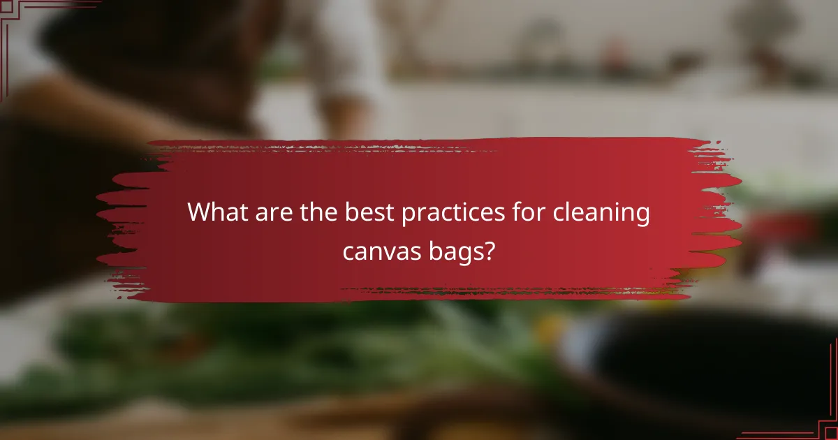 What are the best practices for cleaning canvas bags?
