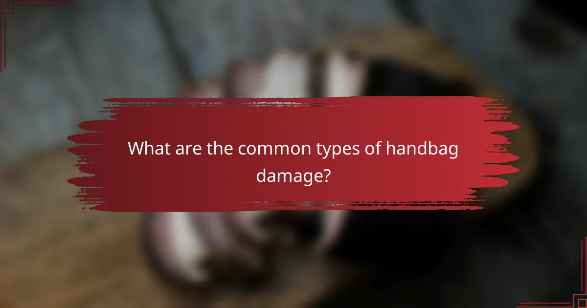 What are the common types of handbag damage?