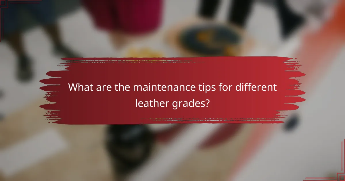What are the maintenance tips for different leather grades?