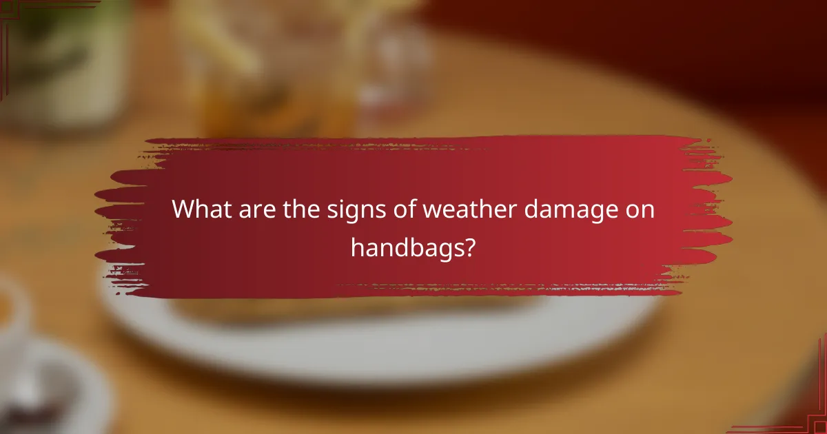 What are the signs of weather damage on handbags?