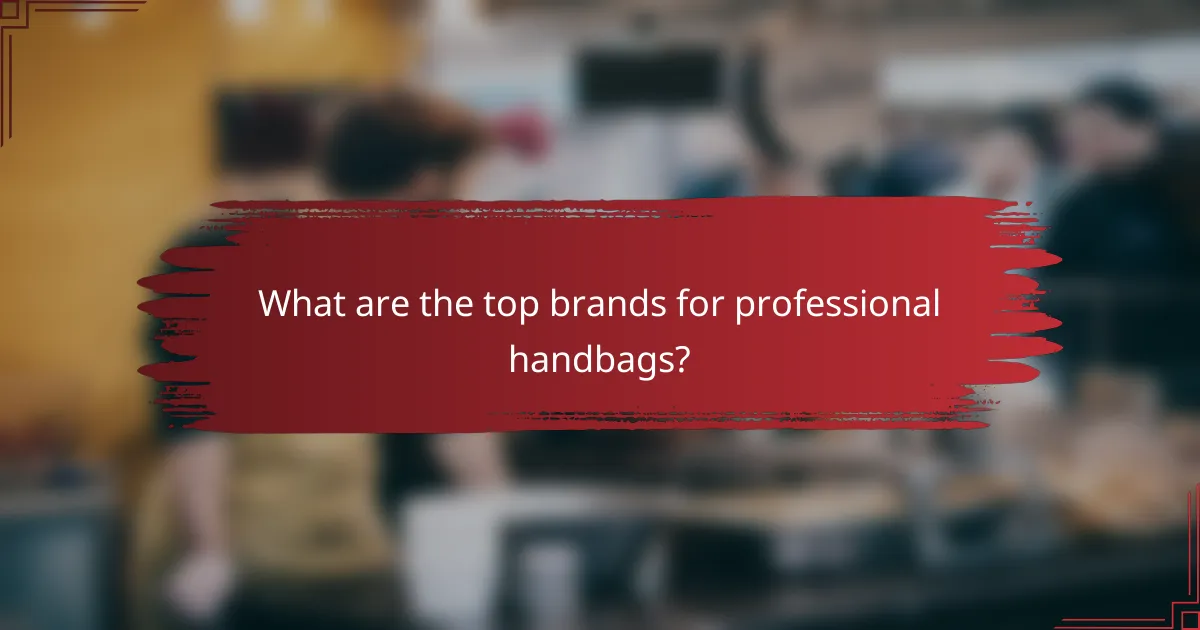What are the top brands for professional handbags?