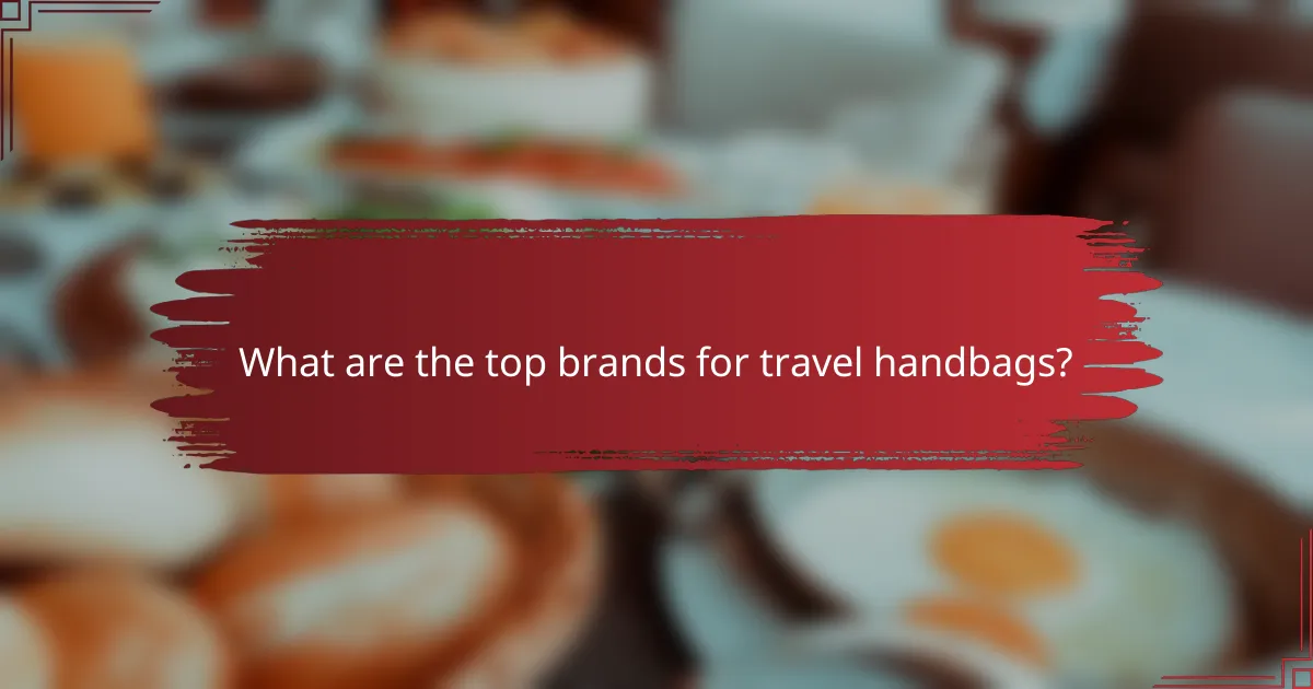 What are the top brands for travel handbags?