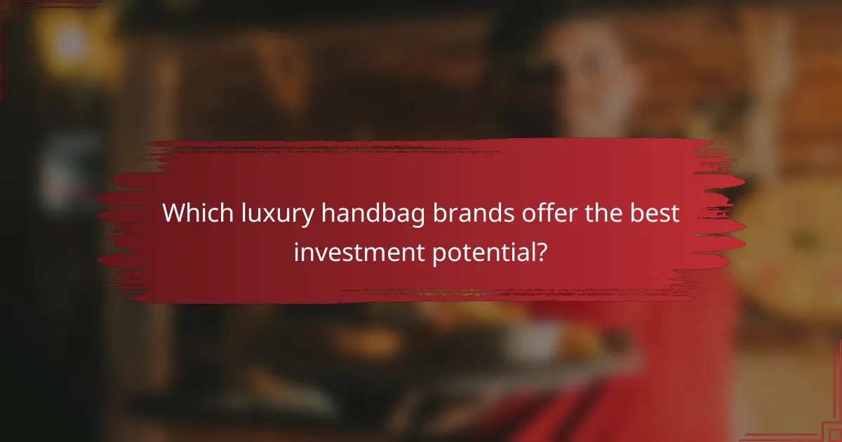 Which luxury handbag brands offer the best investment potential?